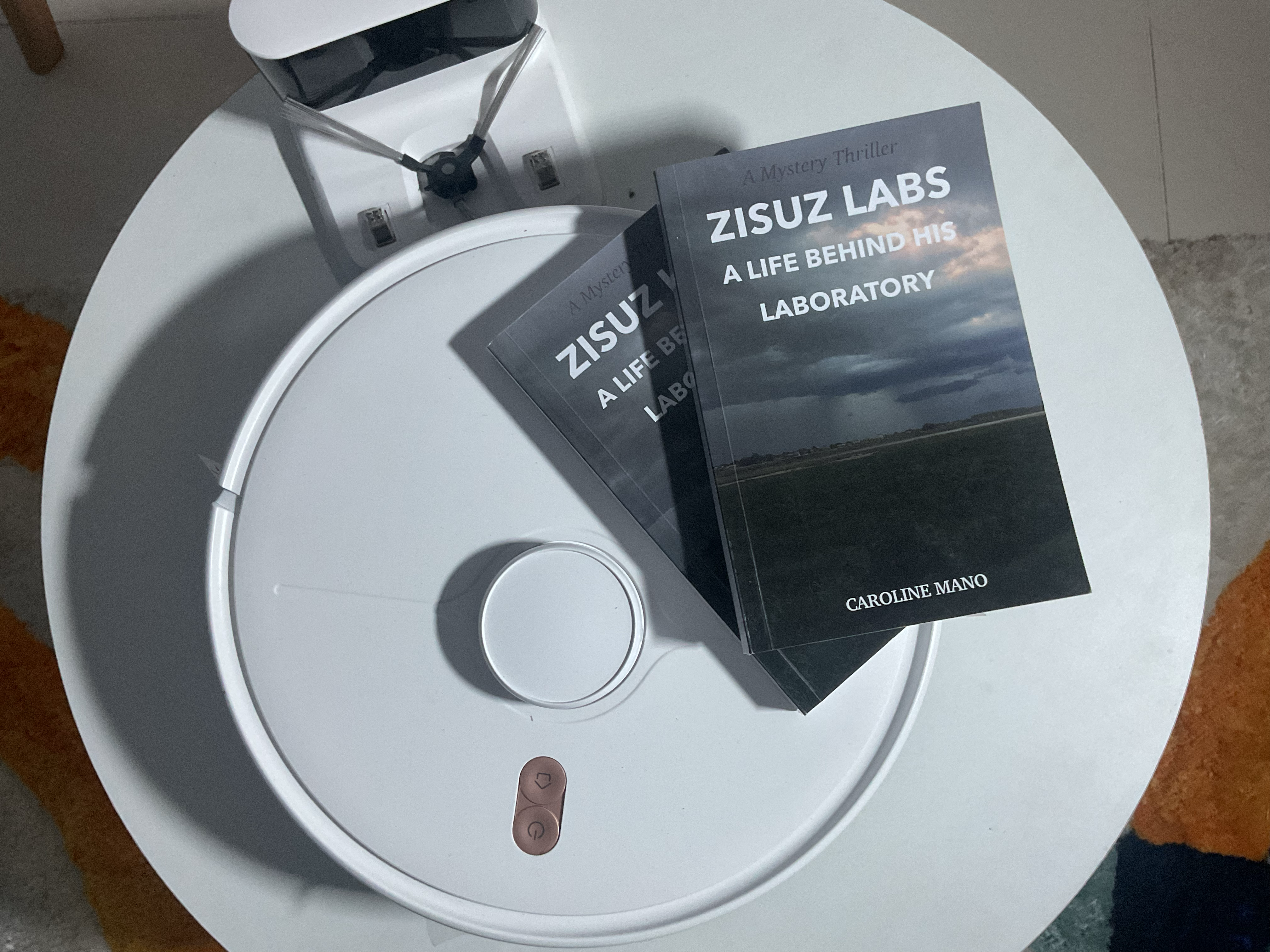 Zisuz Labs Book